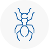 Ant Removals In Gullane