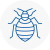 Bed Bug Extermination In Gullane