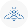 Bee Nest Removal Gullane