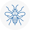 Gullane Hornet Nest Removals