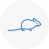 Mice Exterminators In Gullane
