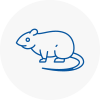 Rat Control Gullane