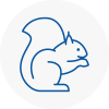 Gullane Rodent Removals